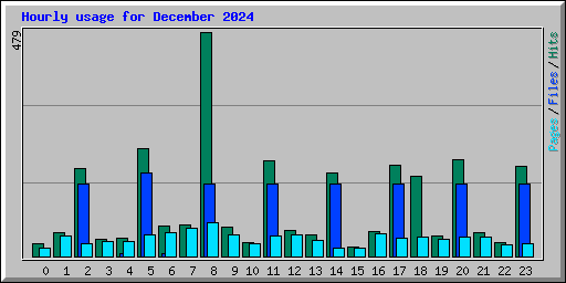 Hourly usage for December 2024