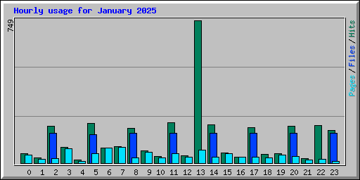Hourly usage for January 2025