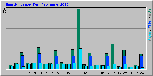 Hourly usage for February 2025